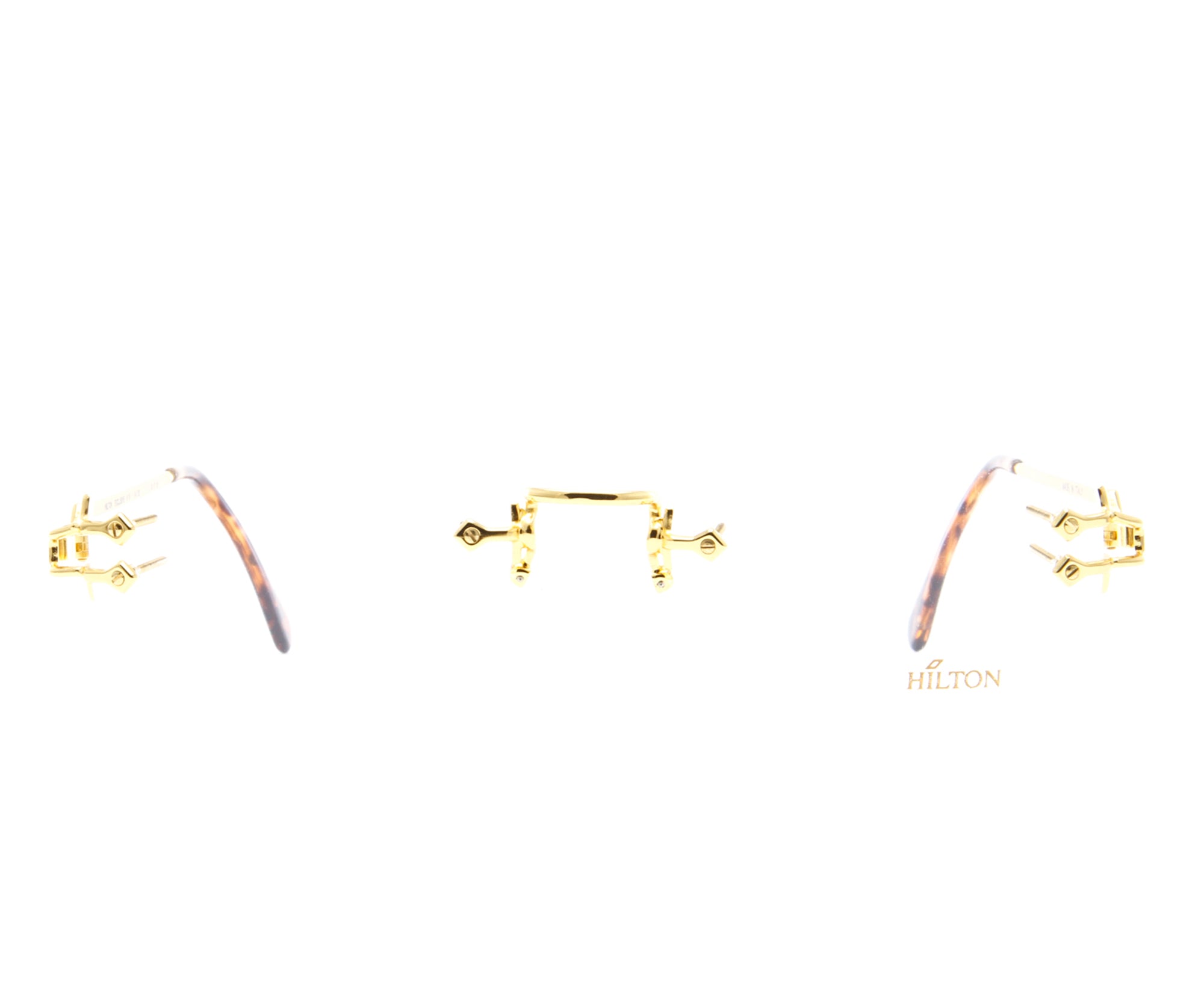 Vintage Hilton Exclusive R18 1 20KT GP Front