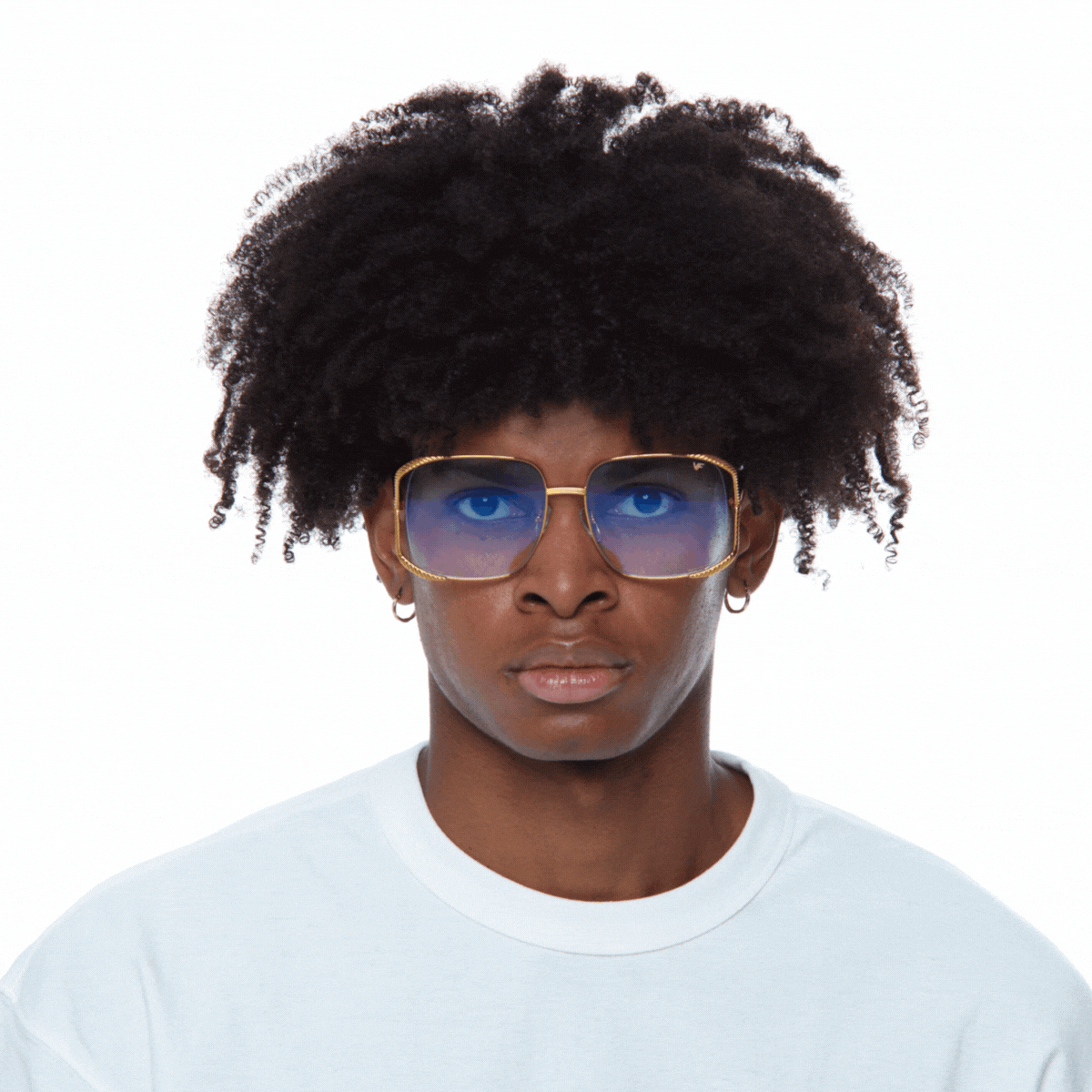 Vixen 24KT Gold – Vintage Frames Company