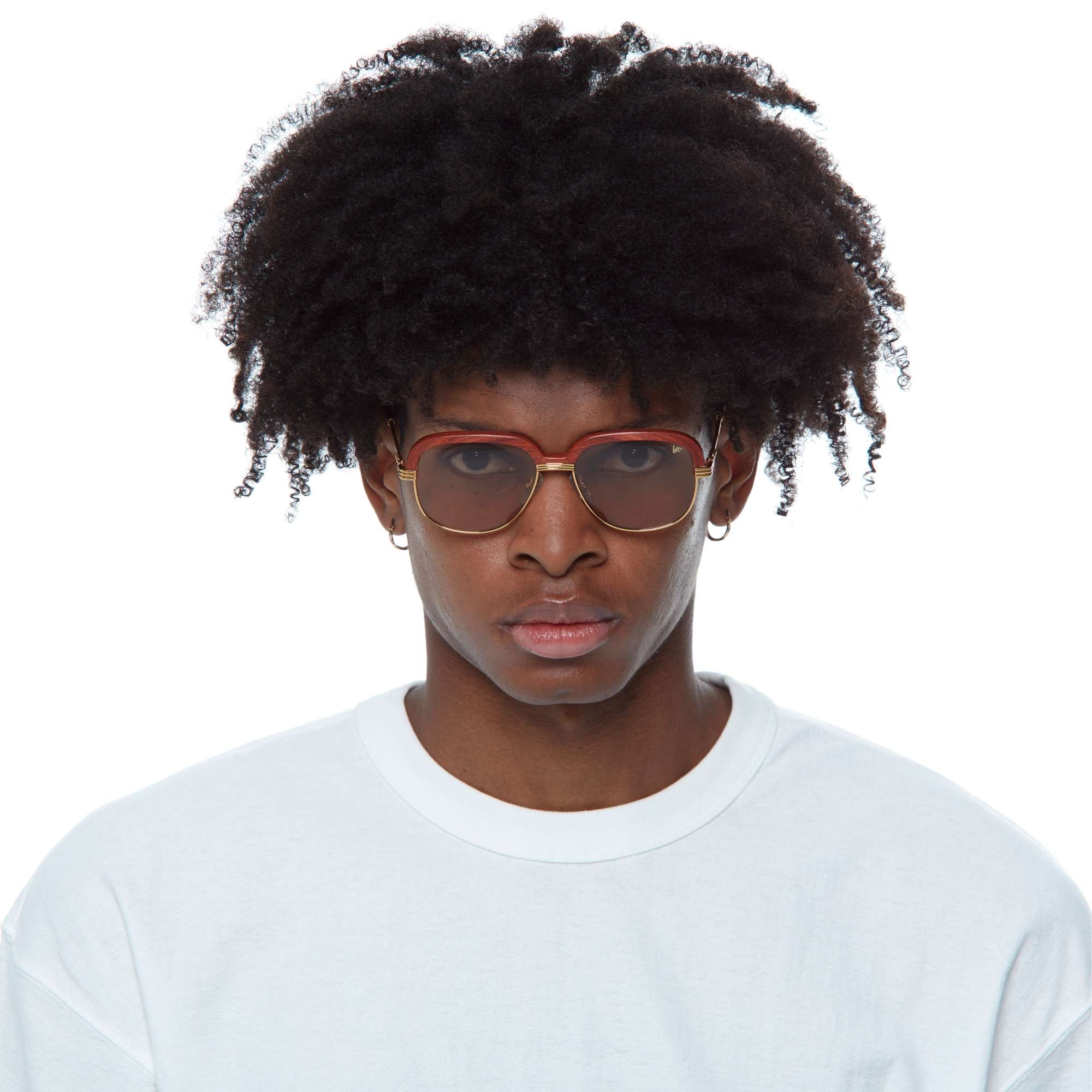 Westmount Woods Edition 24KT Gold – Vintage Frames Company